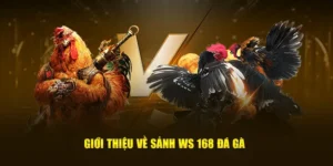 Bí Kíp Chơi Đá Gà WS168 Tại 789Club Thắng Lớn Mỗi Ngày