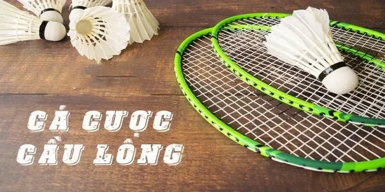 Bật Mí Cách Chơi Cá Cược Cầu Lông 789Club Luôn Thắng